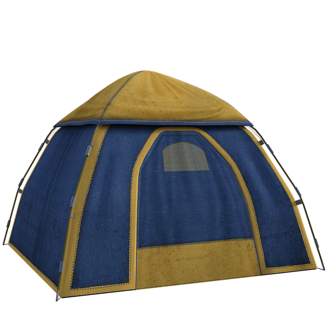 tent with wood burning stove